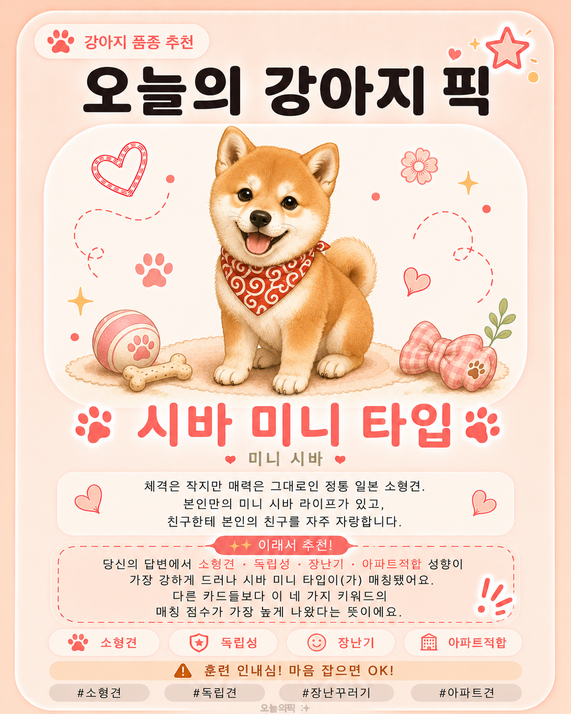 시바 미니 타입 카드 이미지