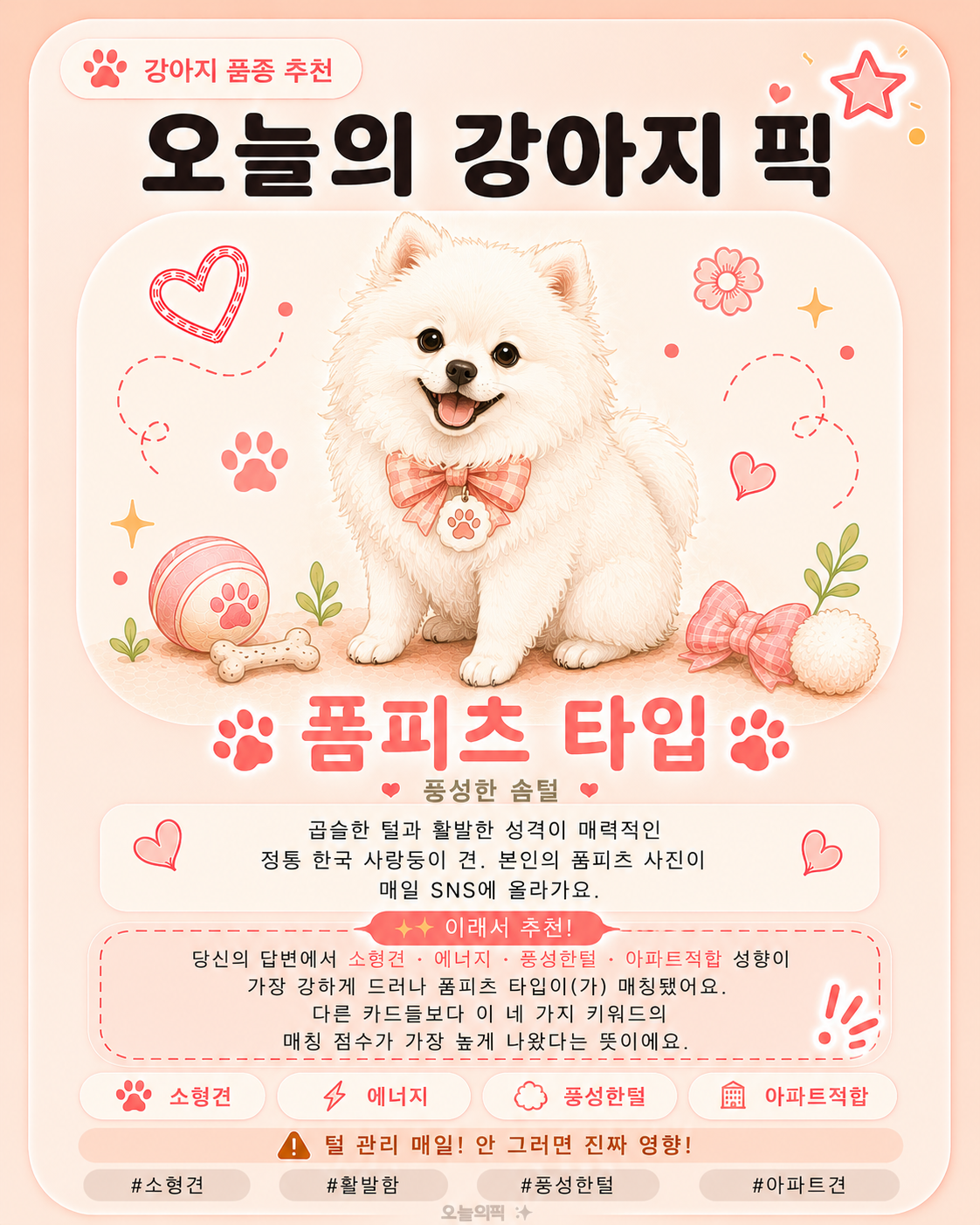폼피츠 타입 카드 이미지