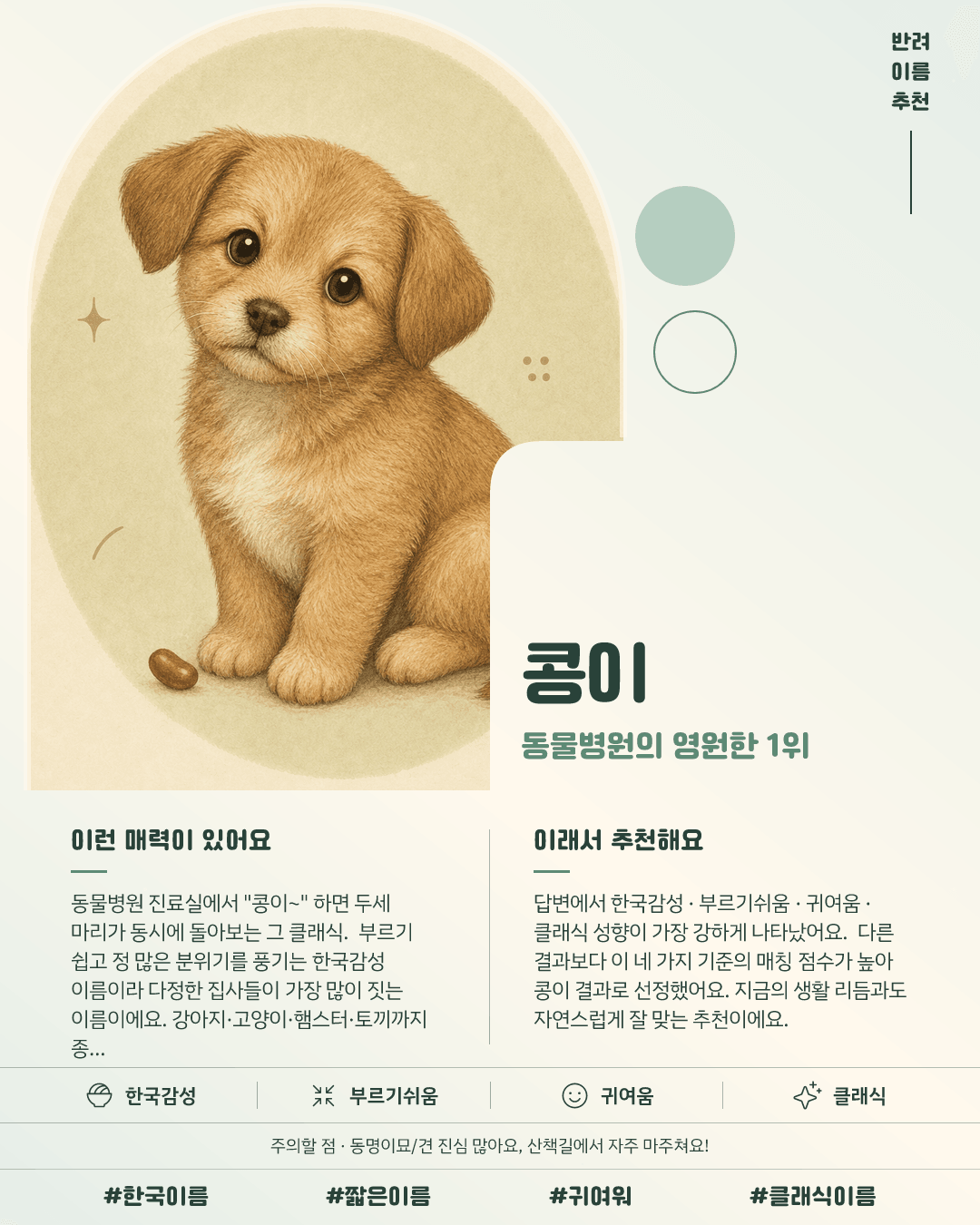 콩이 카드 이미지