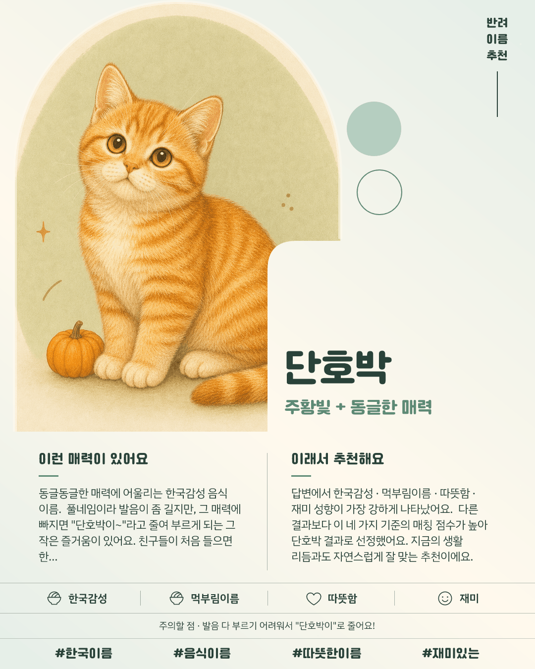 단호박 카드 이미지
