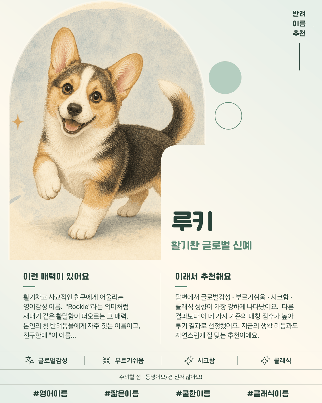 루키 카드 이미지