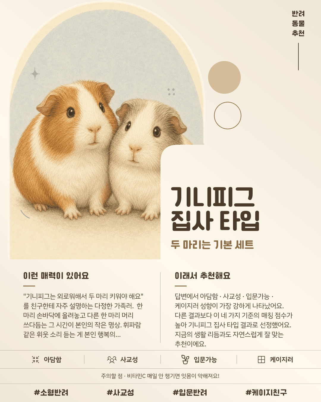 기니피그 집사 타입 카드 이미지