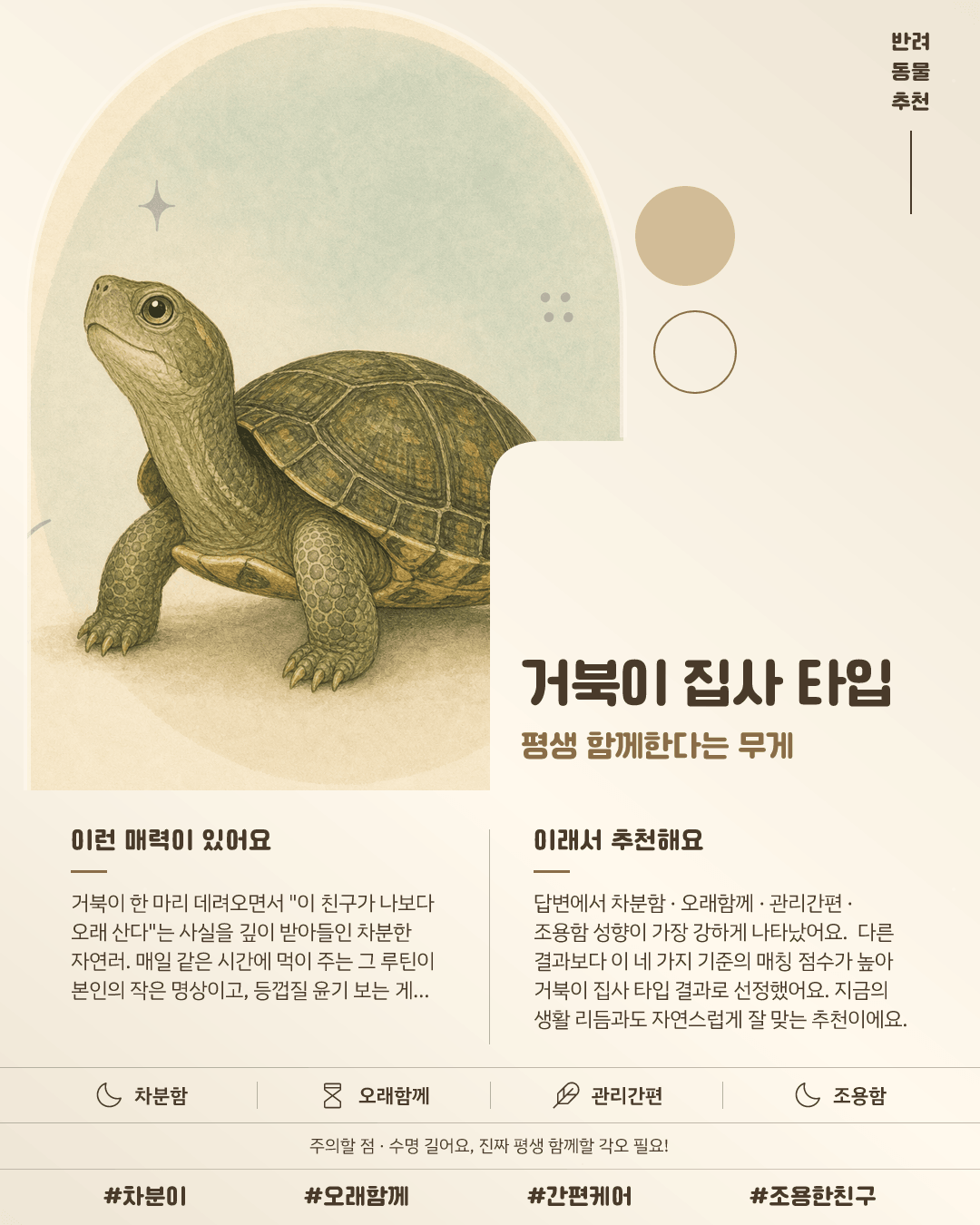 거북이 집사 타입 카드 이미지