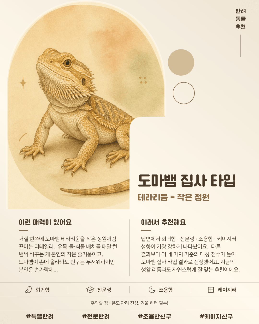 도마뱀 집사 타입 카드 이미지