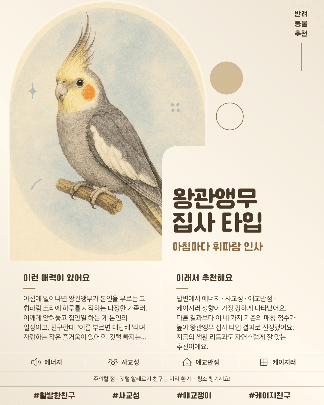 왕관앵무 집사 타입 카드 이미지
