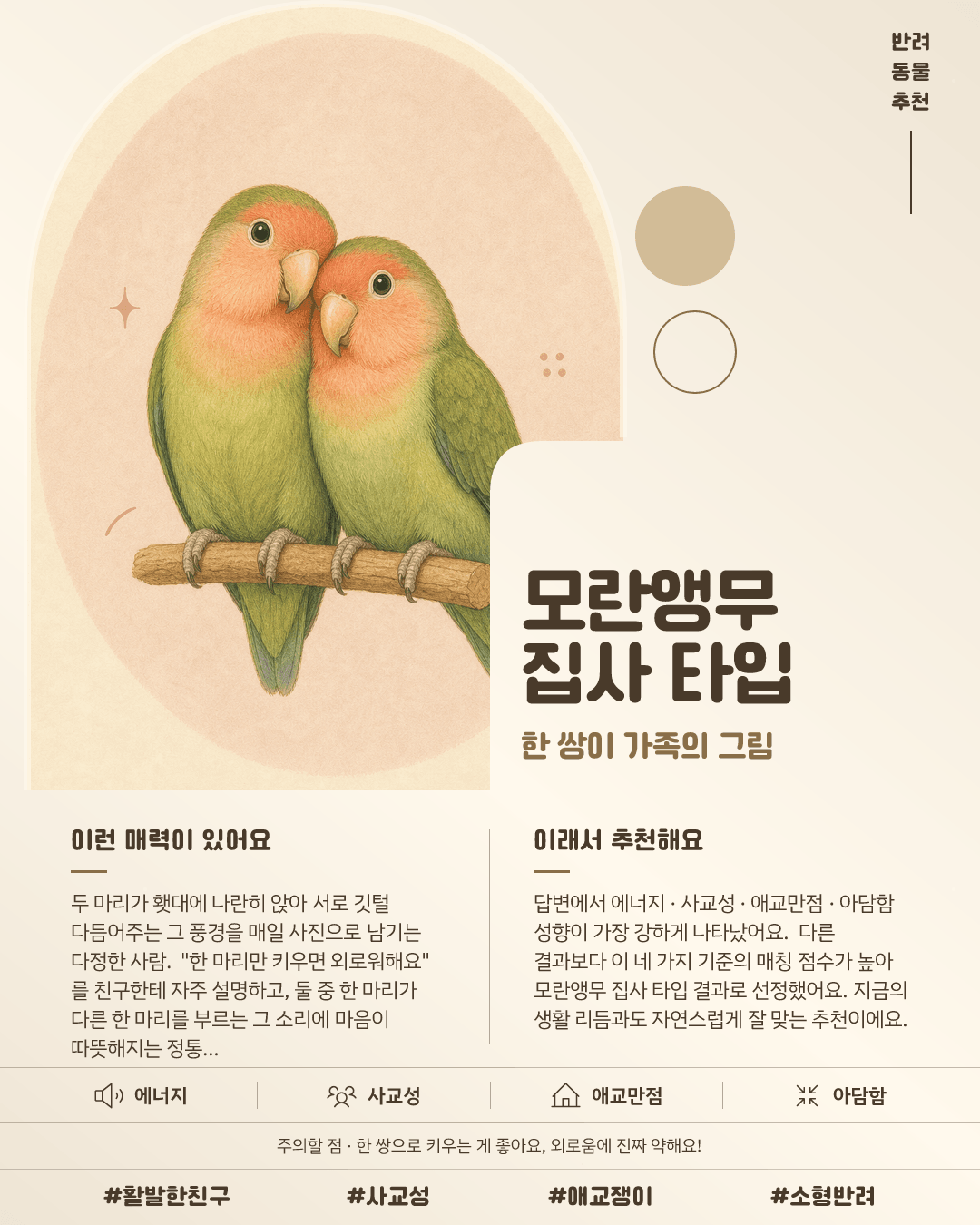 모란앵무 집사 타입 카드 이미지