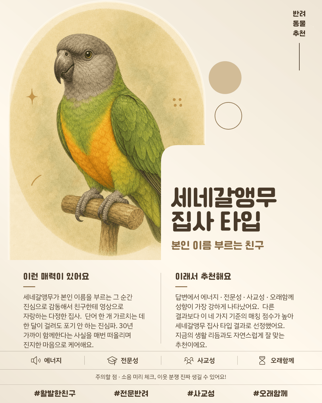 세네갈앵무 집사 타입 카드 이미지