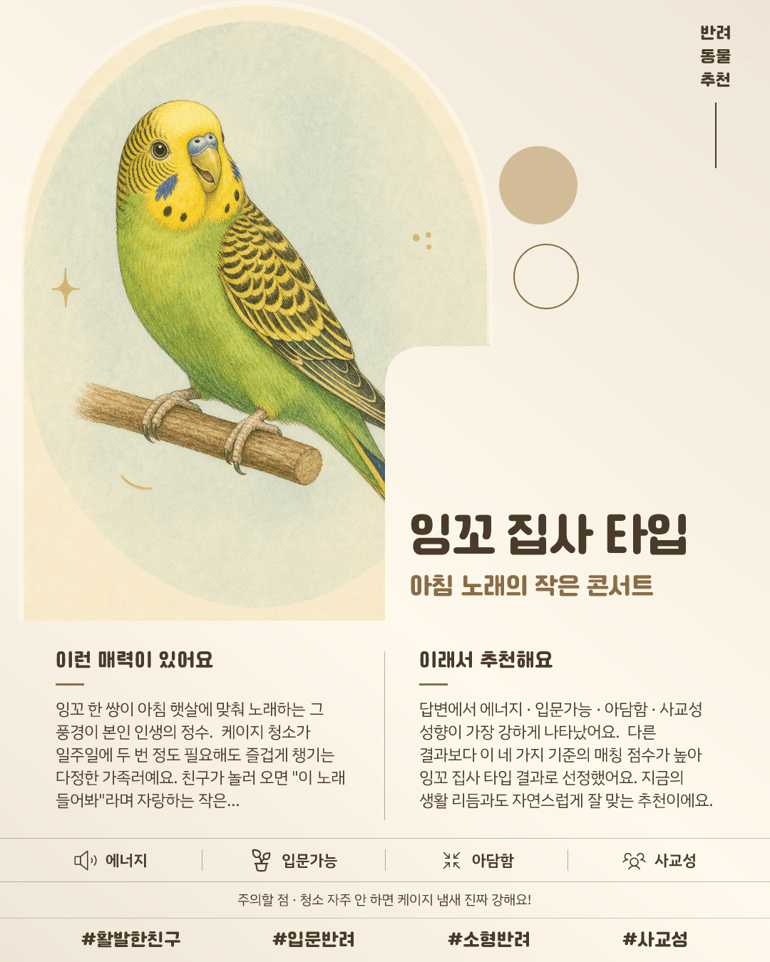 잉꼬 집사 타입 카드 이미지
