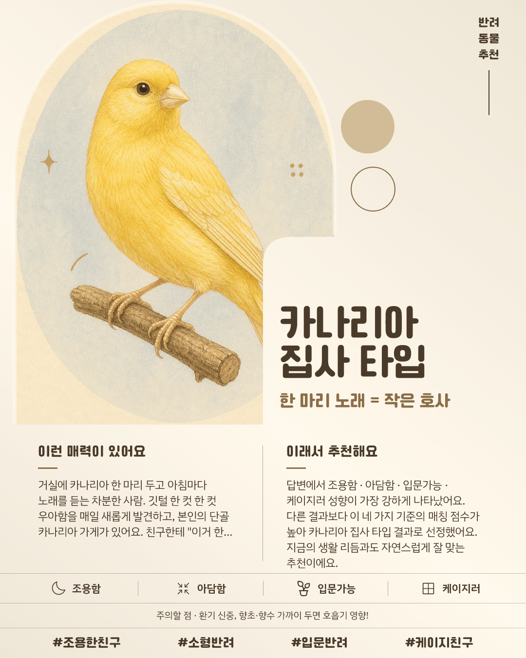 카나리아 집사 타입 카드 이미지