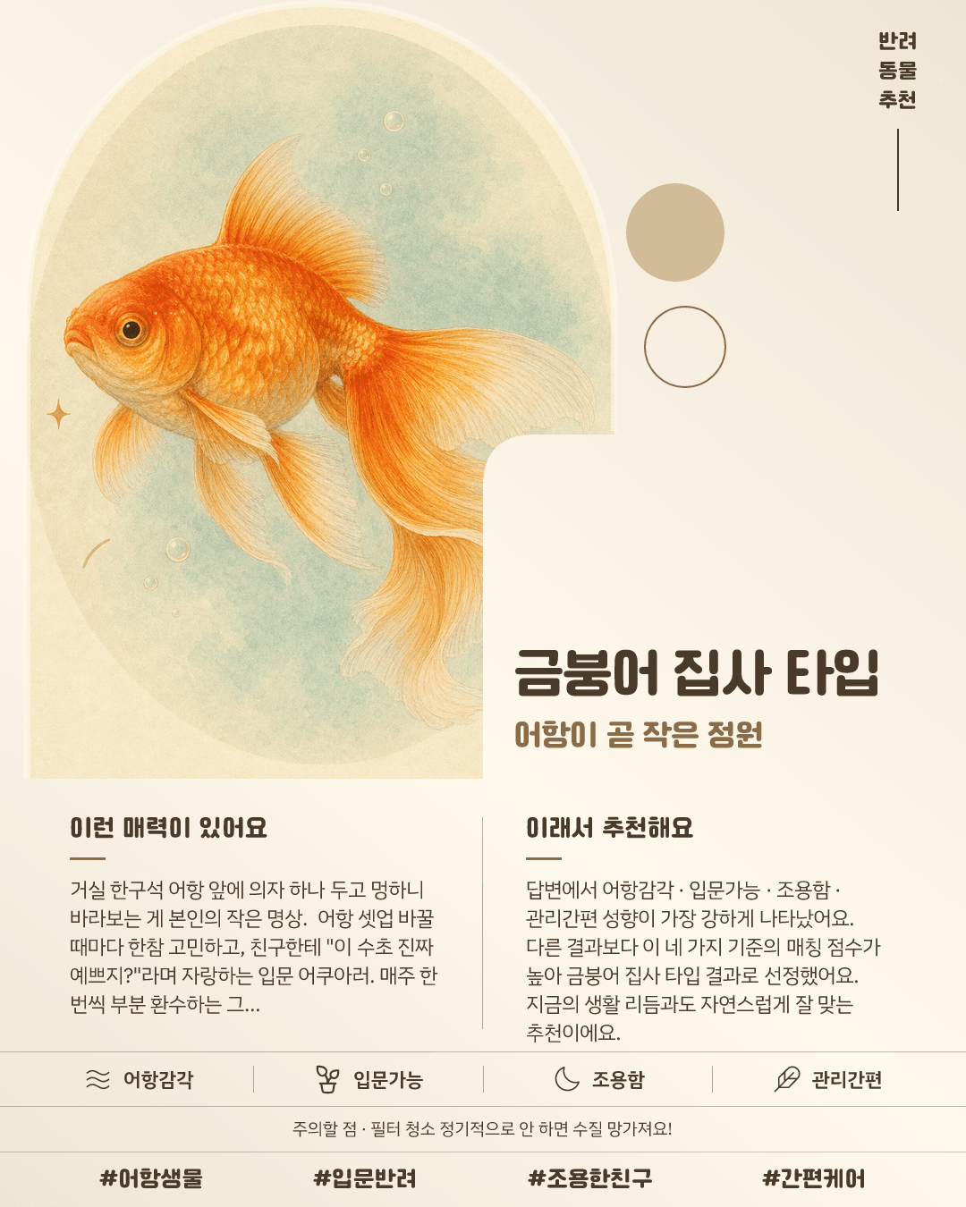 금붕어 집사 타입 카드 이미지