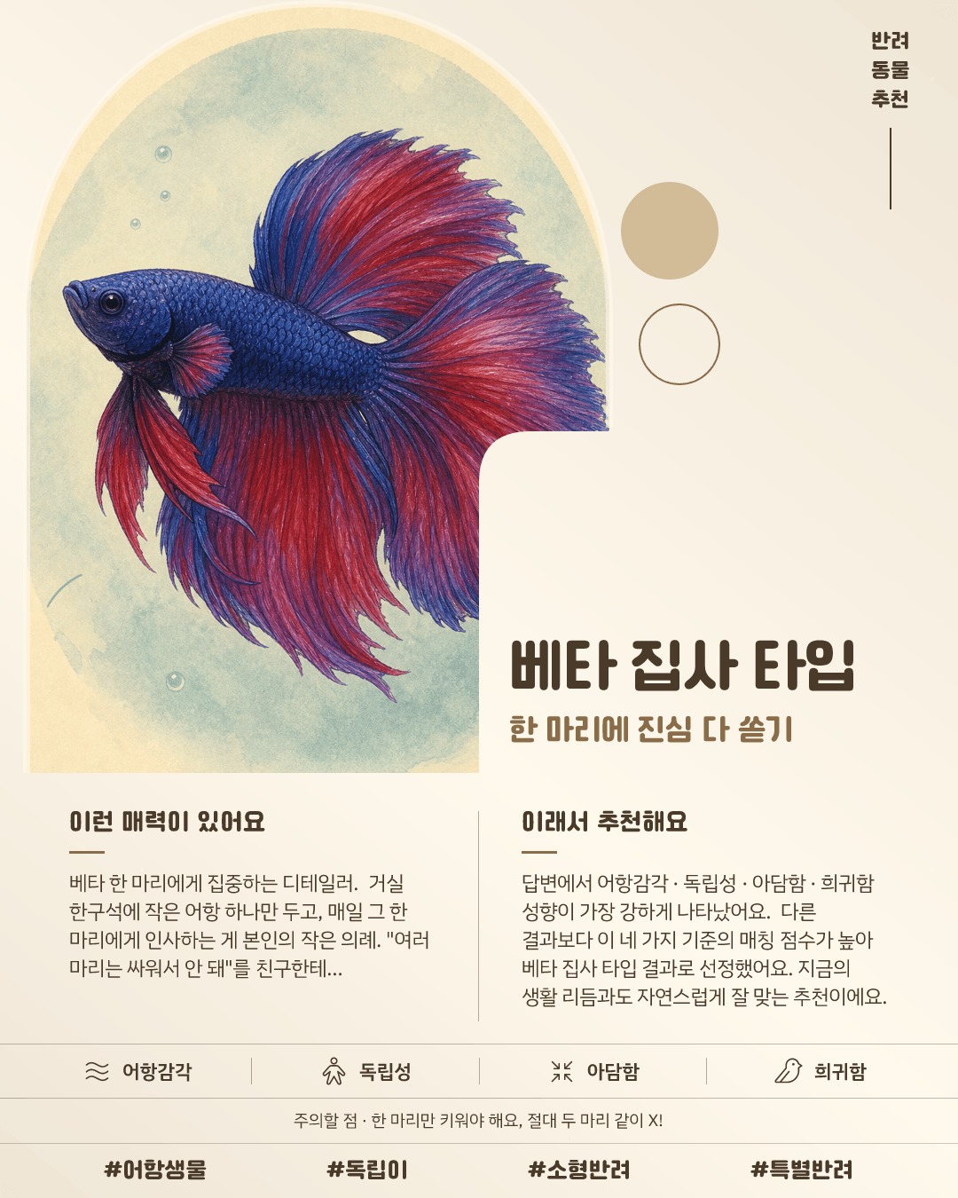 베타 집사 타입 카드 이미지