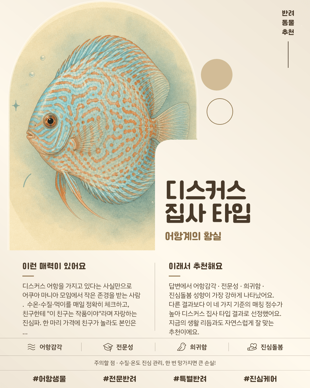 디스커스 집사 타입 카드 이미지