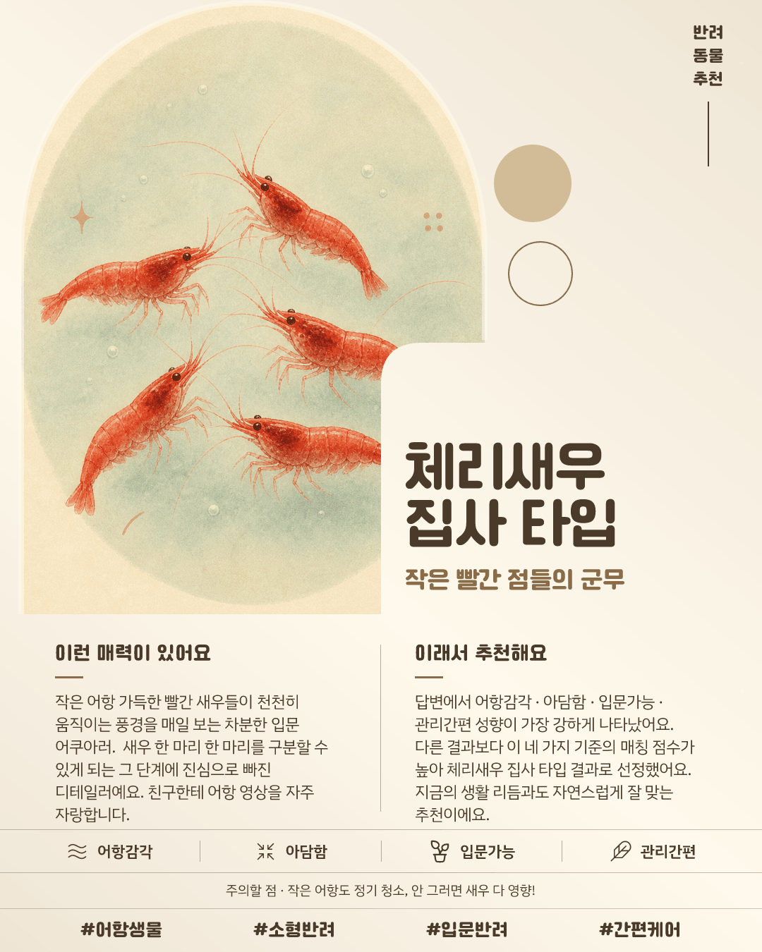 체리새우 집사 타입 카드 이미지