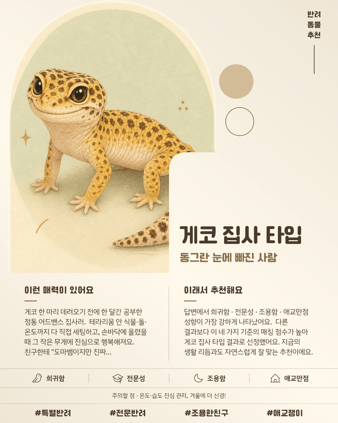 게코 집사 타입 카드 이미지