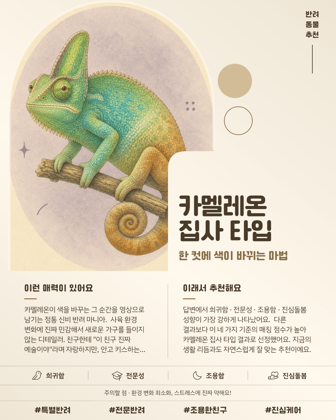 카멜레온 집사 타입 카드 이미지