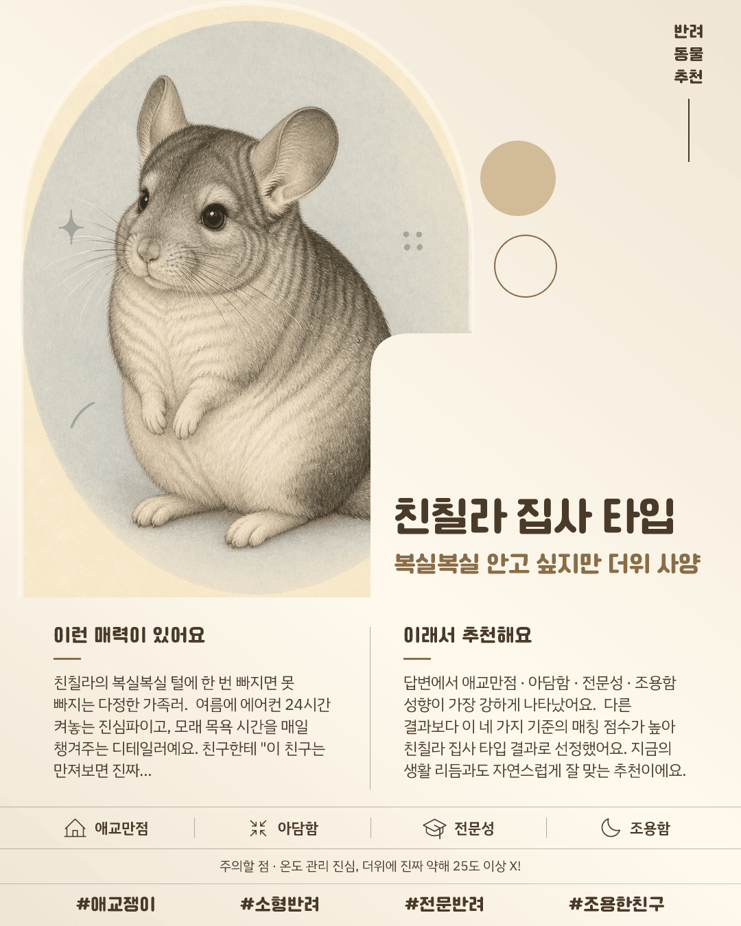 친칠라 집사 타입 카드 이미지
