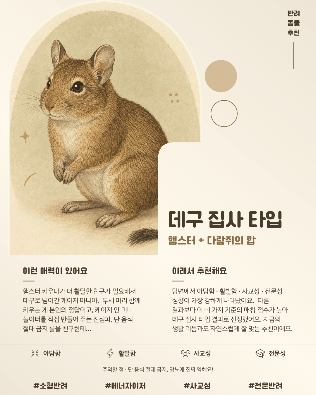 데구 집사 타입 카드 이미지