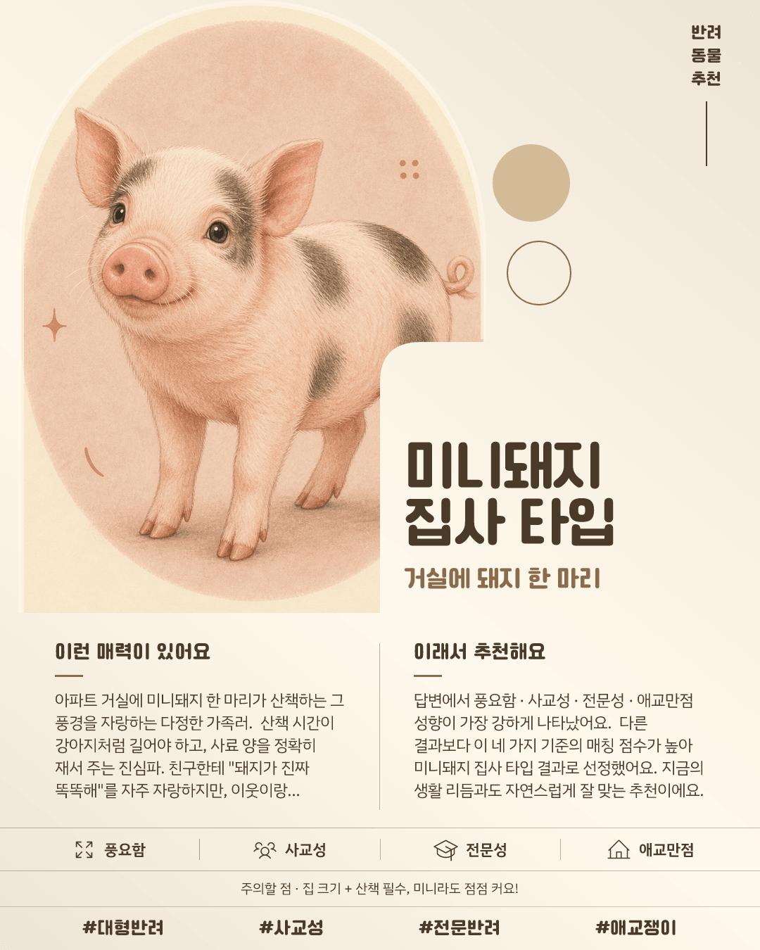 미니돼지 집사 타입 카드 이미지