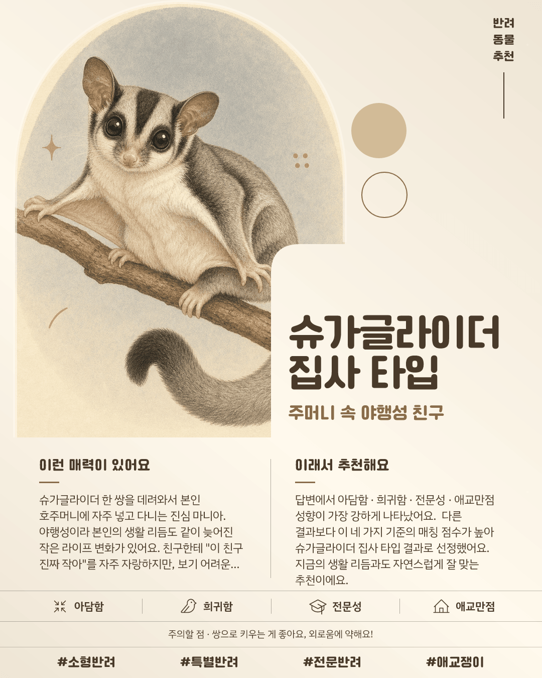 슈가글라이더 집사 타입 카드 이미지