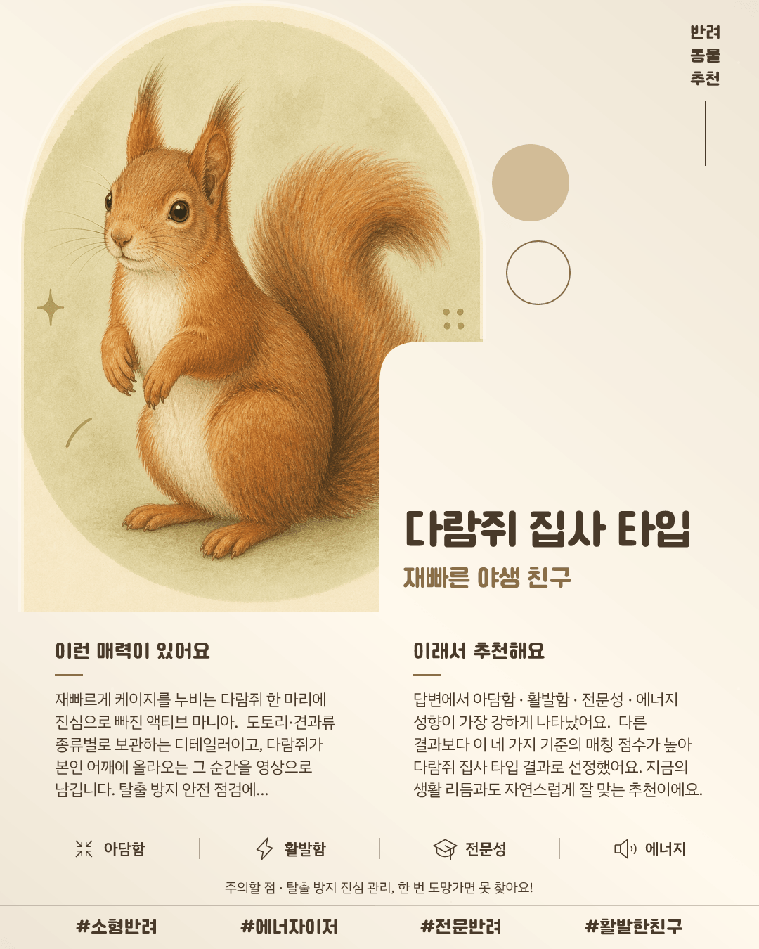 다람쥐 집사 타입 카드 이미지