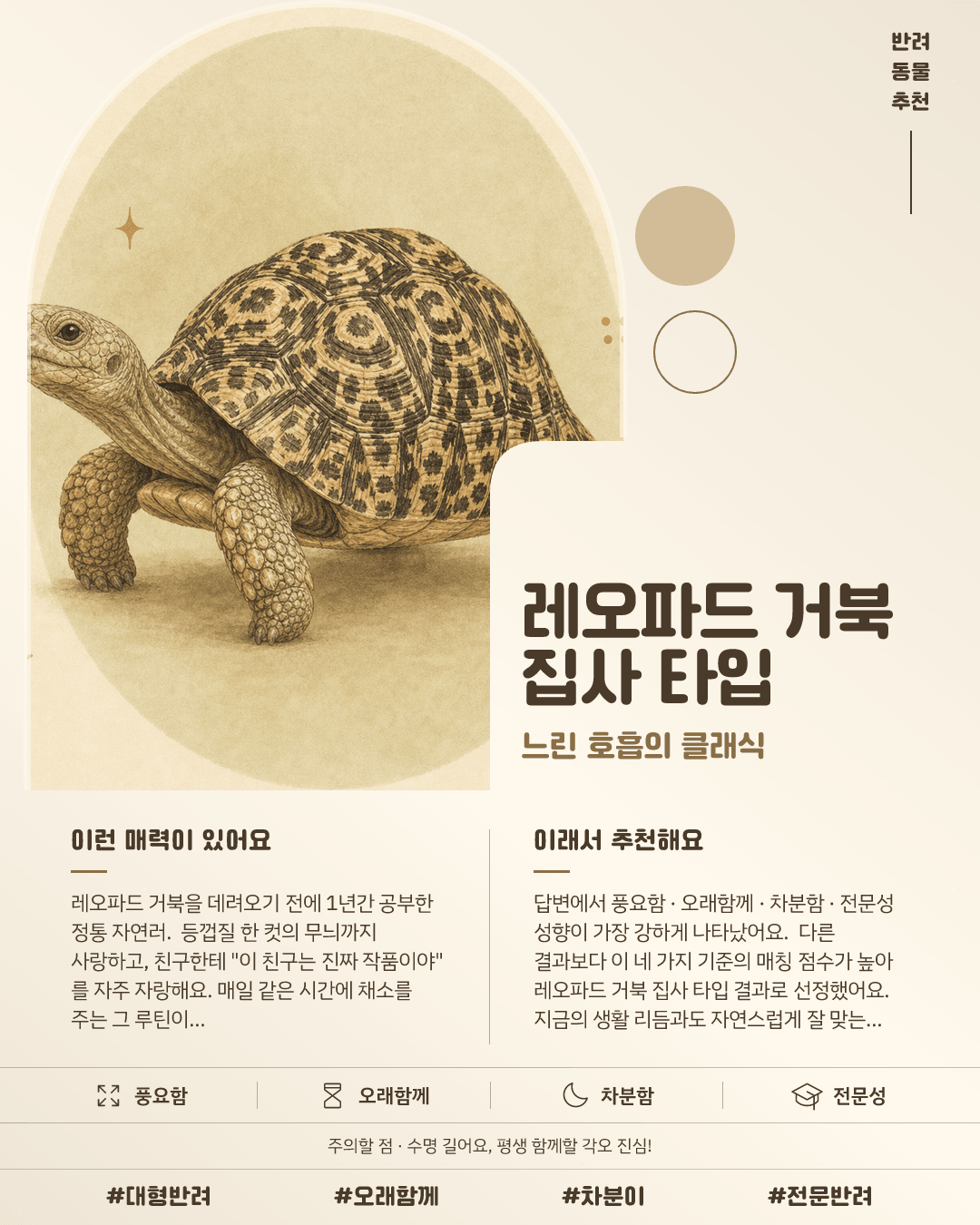 레오파드 거북 집사 타입 카드 이미지