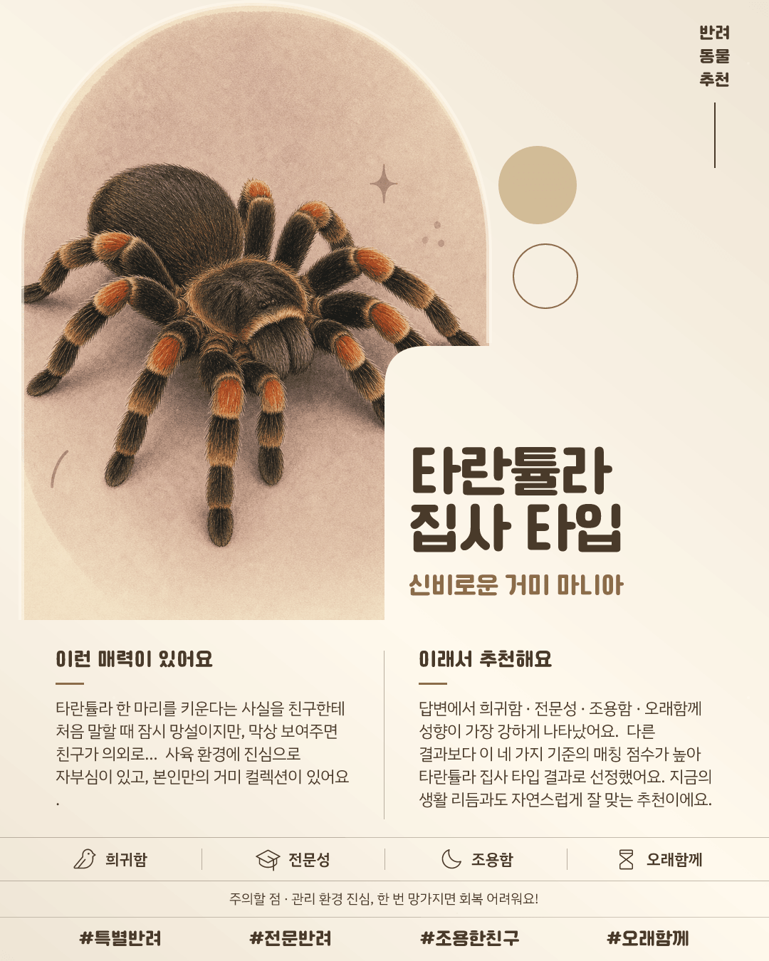 타란튤라 집사 타입 카드 이미지