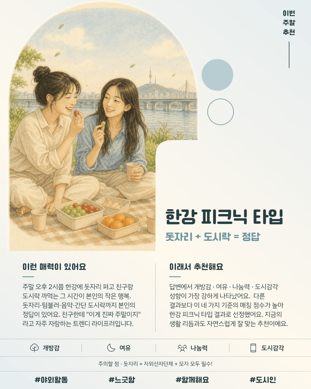 한강 피크닉 타입 카드 이미지